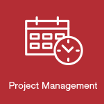 IT Project Manager