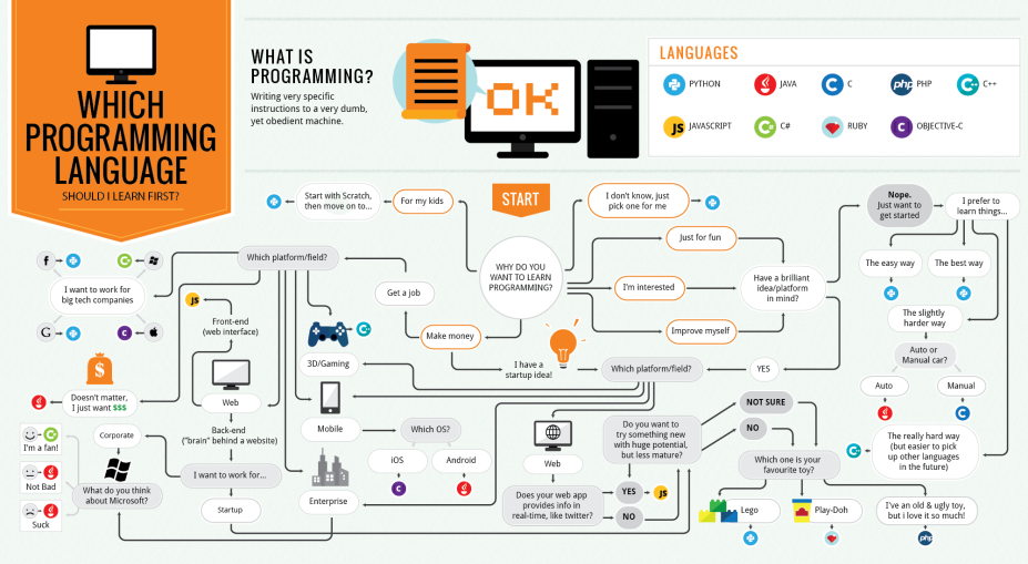 which-programming-language-should-i-learn-first-infographic-927x1024